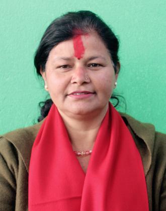 विष्णु माया पाण्डे